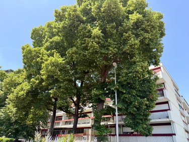 Appartement a vendre Talence 33400 Gironde 49 m2 2 pièces 215000 euros