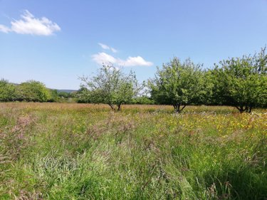 Terrains de loisirs bois etangs a vendre Villaines-la-Juhel 53700 Mayenne 9136 m2  31800 euros