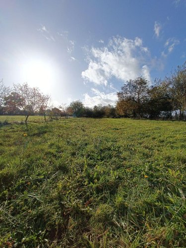 Terrains de loisirs bois etangs a vendre Villaines-la-Juhel 53700 Mayenne 9136 m2  31800 euros