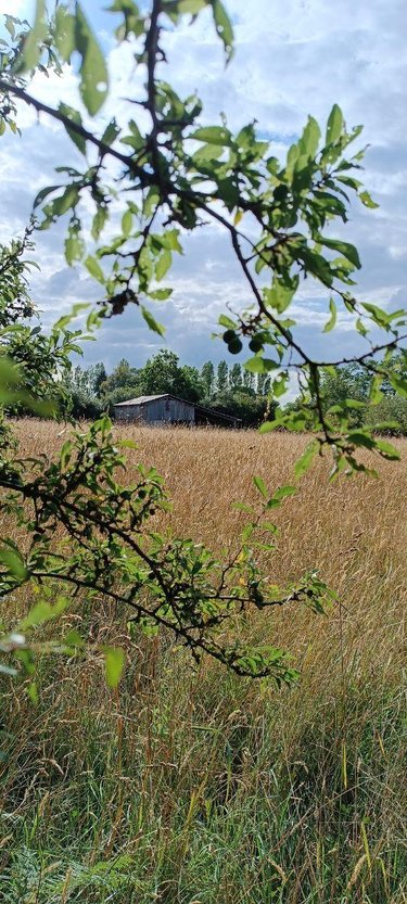 Terrains de loisirs bois etangs a vendre Villaines-la-Juhel 53700 Mayenne 9136 m2  31800 euros