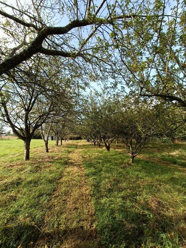 Terrains de loisirs bois etangs a vendre Villaines-la-Juhel 53700 Mayenne 9136 m2  31800 euros