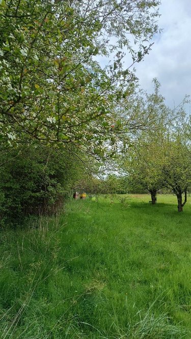Terrains de loisirs bois etangs a vendre Villaines-la-Juhel 53700 Mayenne 9136 m2  31800 euros