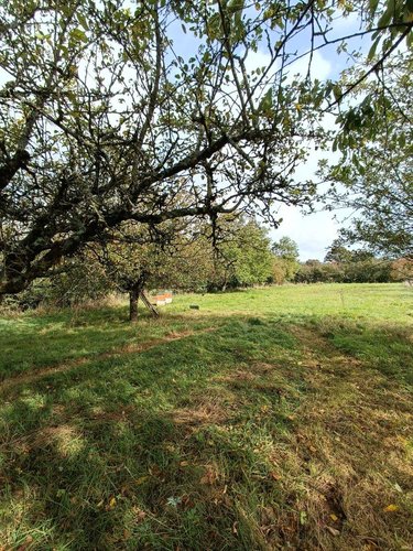 Terrains de loisirs bois etangs a vendre Villaines-la-Juhel 53700 Mayenne 9136 m2  31800 euros