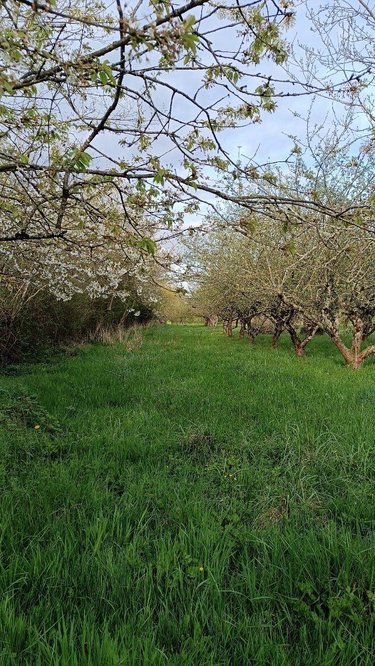 Terrains de loisirs bois etangs a vendre Villaines-la-Juhel 53700 Mayenne 9136 m2  31800 euros
