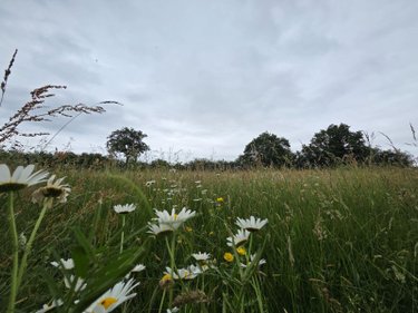 Terrains de loisirs bois etangs a vendre Villaines-la-Juhel 53700 Mayenne 9136 m2  31800 euros
