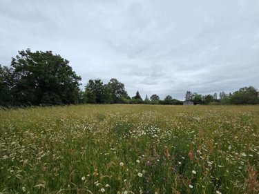 Terrains de loisirs bois etangs a vendre Villaines-la-Juhel 53700 Mayenne 9136 m2  31800 euros