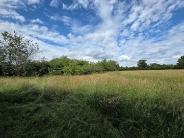 Terrains de loisirs bois etangs a vendre Villaines-la-Juhel 53700 Mayenne 9136 m2  31800 euros