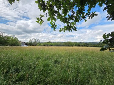 Terrains de loisirs bois etangs a vendre Villaines-la-Juhel 53700 Mayenne 9136 m2  31800 euros