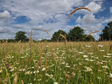 Terrains de loisirs bois etangs a vendre Villaines-la-Juhel 53700 Mayenne 9136 m2  31800 euros