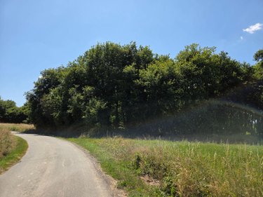 Terrains de loisirs bois etangs a vendre Saint-Léonard-des-Bois 72130 Sarthe 15320 m2  31800 euros