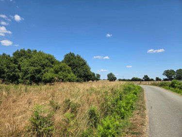 Terrains de loisirs bois etangs a vendre Saint-Léonard-des-Bois 72130 Sarthe 15320 m2  31800 euros