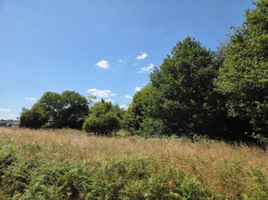 Terrains de loisirs bois etangs a vendre Saint-Léonard-des-Bois 72130 Sarthe 15320 m2  31800 euros