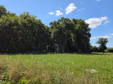 Terrains de loisirs bois etangs a vendre Saint-Léonard-des-Bois 72130 Sarthe 15320 m2  31800 euros
