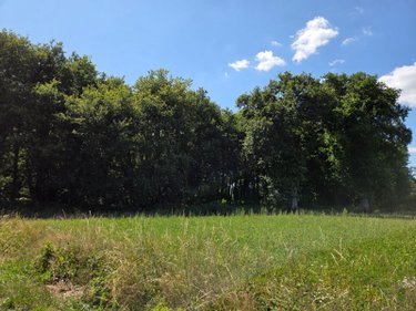 Terrains de loisirs bois etangs a vendre Saint-Léonard-des-Bois 72130 Sarthe 15320 m2  31800 euros