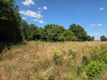 Terrains de loisirs bois etangs a vendre Saint-Léonard-des-Bois 72130 Sarthe 15320 m2  31800 euros