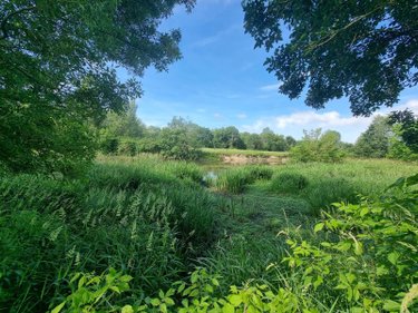 Terrains de loisirs bois etangs a vendre Villeherviers 41200 Loir-et-Cher 7380 m2  13780 euros
