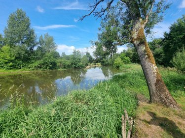 Terrains de loisirs bois etangs a vendre Villeherviers 41200 Loir-et-Cher 7380 m2  13780 euros