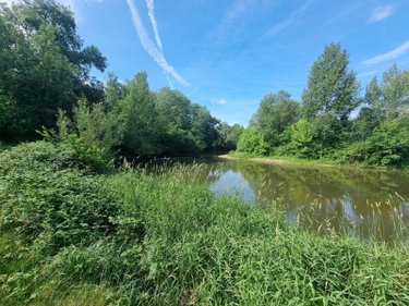 Terrains de loisirs bois etangs a vendre Villeherviers 41200 Loir-et-Cher 7380 m2  13780 euros