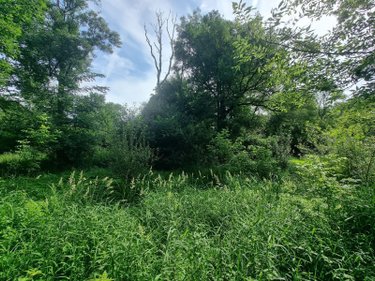 Terrains de loisirs bois etangs a vendre Villeherviers 41200 Loir-et-Cher 7380 m2  13780 euros