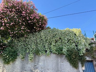 Maison a vendre Marseille 3e Arrondissement 13003 Bouches-du-Rhône 121 m2 4 pièces 231000 euros