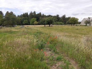 Terrain a batir a vendre Écommoy 72220 Sarthe 803 m2  58000 euros