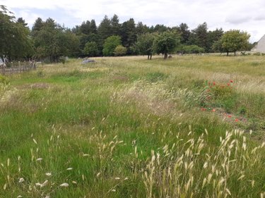 Terrain a batir a vendre Écommoy 72220 Sarthe 803 m2  58000 euros