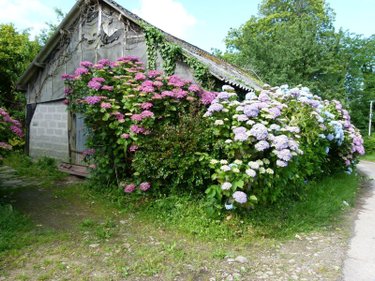 Maison a vendre Bannalec 29380 Finistère 78 m2  127200 euros