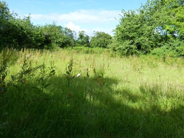 Maison a vendre Bannalec 29380 Finistère 78 m2  127200 euros