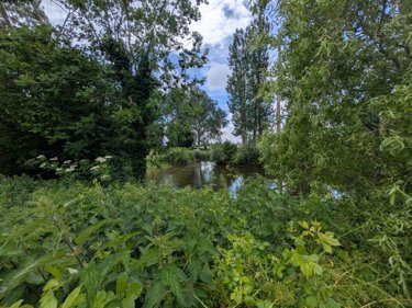 Maison a vendre Wormhout 59470 Nord 175 m2 6 pièces 430000 euros