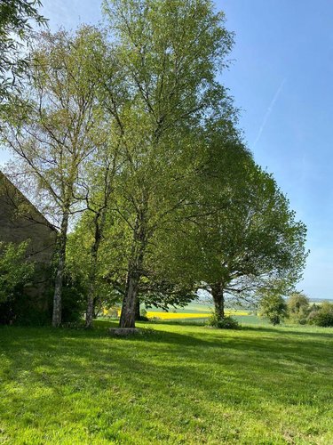 Maison a vendre Palluau-sur-Indre 36500 Indre 162 m2 8 pièces 223800 euros
