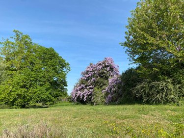 Maison a vendre Palluau-sur-Indre 36500 Indre 162 m2 8 pièces 223800 euros