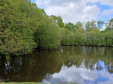 Terrains de loisirs bois etangs a vendre Quévert 22100 Côtes-d'Armor 13805 m2  105580 euros