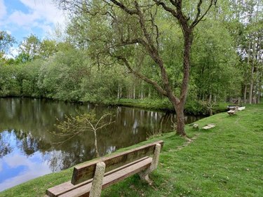 Terrains de loisirs bois etangs a vendre Quévert 22100 Côtes-d'Armor 13805 m2  105580 euros