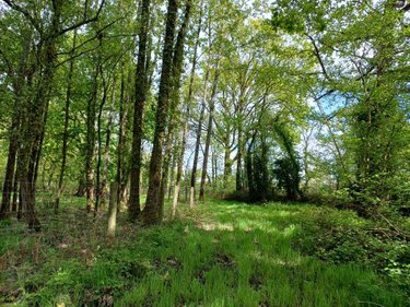 Terrains de loisirs bois etangs a vendre Quévert 22100 Côtes-d'Armor 13805 m2  105580 euros