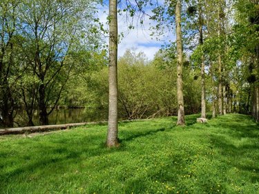 Terrains de loisirs bois etangs a vendre Quévert 22100 Côtes-d'Armor 13805 m2  105580 euros