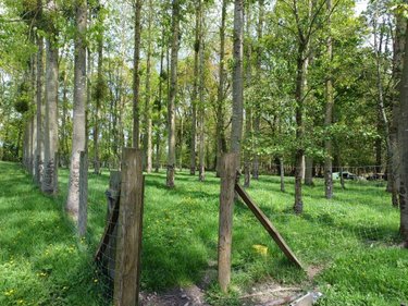 Terrains de loisirs bois etangs a vendre Quévert 22100 Côtes-d'Armor 13805 m2  105580 euros