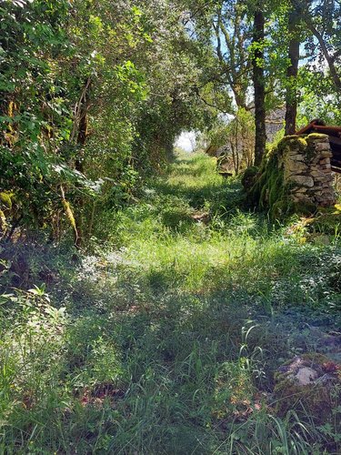 Maison a vendre Marcilhac-sur-Célé 46160 Lot 93 m2 2 pièces 63000 euros