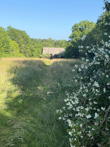 Maison a vendre Mauriac 15200 Cantal 10 pièces 212000 euros
