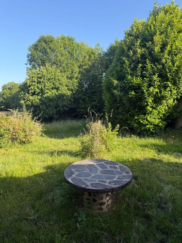 Maison a vendre Mauriac 15200 Cantal 10 pièces 212000 euros