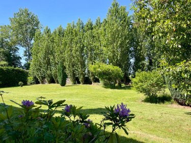 Maison a vendre Wormhout 59470 Nord 145 m2 7 pièces 332000 euros