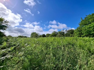 Terrains de loisirs bois etangs a vendre Saint-Nicolas-du-Pélem 22480 Côtes-d'Armor 151200 m2  33000 euros