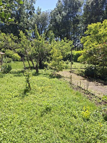 Maison a vendre Le Mans 72000 Sarthe 85 m2 5 pièces 117000 euros
