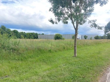 Terrain a batir a vendre Tinténiac 35190 Ille-et-Vilaine 5500 m2  133750 euros