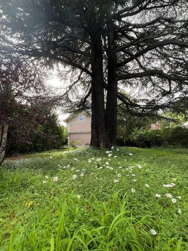 Maison a vendre Ris-Orangis 91130 Essonne 167 m2 7 pièces 369250 euros