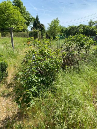 Maison a vendre Châtillon-sur-Indre 36700 Indre 92 m2 6 pièces 64800 euros