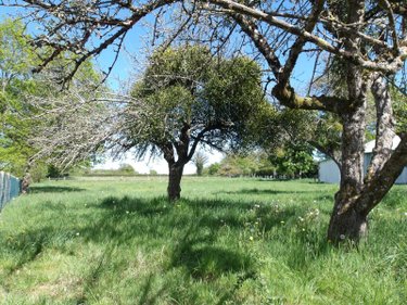 propriete a vendre Bétête 23270 Creuse 90 m2 6 pièces 127920 euros