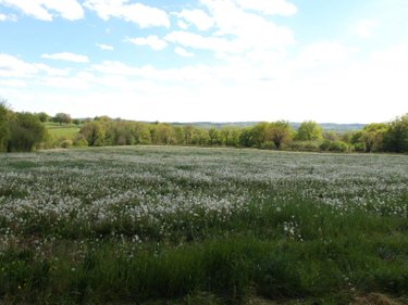 propriete a vendre Bétête 23270 Creuse 90 m2 6 pièces 127920 euros