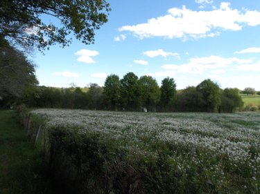 propriete a vendre Bétête 23270 Creuse 90 m2 6 pièces 127920 euros