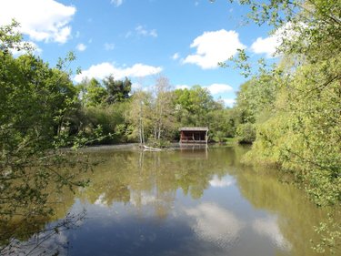 propriete a vendre Bétête 23270 Creuse 90 m2 6 pièces 127920 euros