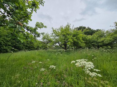 Maison a vendre Villaines-la-Juhel 53700 Mayenne 52 m2 2 pièces 37100 euros